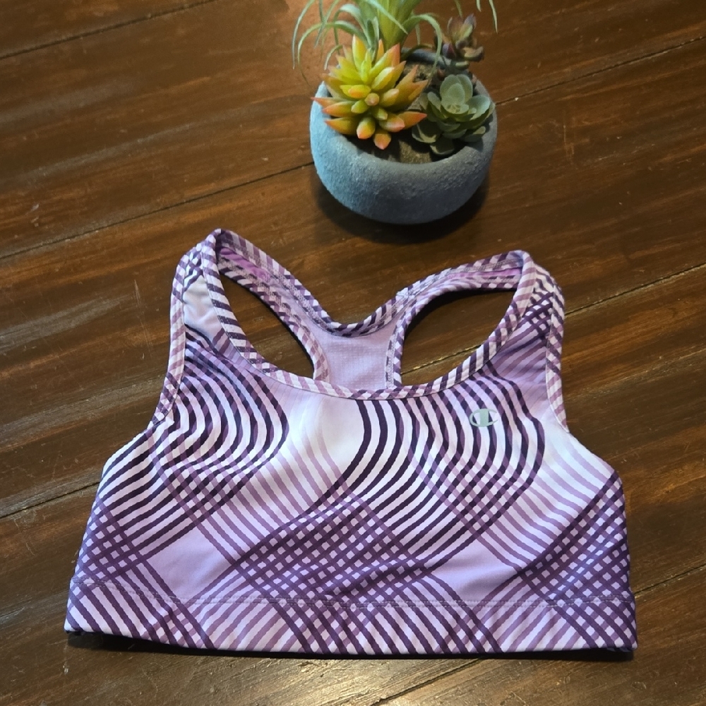 Champion Purple Striped Sports Bra #847